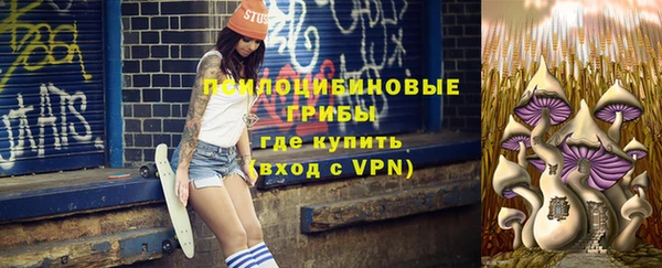 стаф Беломорск