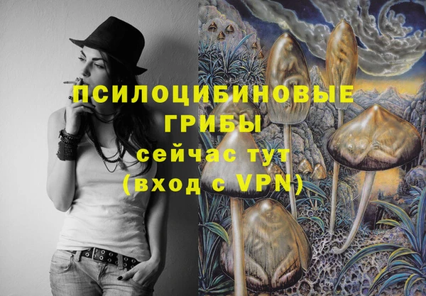 марихуана Белокуриха