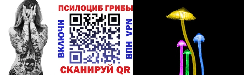 Псилоцибиновые грибы Psilocybine cubensis  как найти закладки  Новое Девяткино 